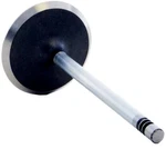 Enginetech V4452 Intake Valve For 2008-2013 Chrysler/dodge/ram 4.7L New. Price: $25.42.
