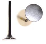 Engine Exhaust Valve-dohc, 16 Valves Dnj EV319 New. Price: $31.99.