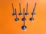 2002-2019 Fits Subaru Impreza Forester 2.5 Dohc Turbo EJ255 EJ257 Intake Valves New. Price: $47.99.