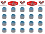 20 - Chevrolet Gmc Geniii 4.8 5.3 5.7 6.0 LS1 LQ4 97 01 Enginetech Valve Seals New. Price: $29.46.