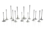 Ferrea F1892P-1 Fits Chevrolet LS1 1.6IN 0.313IN 4.915IN Super Alloy Exh Valve New. Price: $56.99.