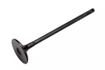 Genuine Gm Engine Intake Valve 55572667 New. Price: $37.97.