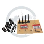 New Oem Head Intake & Exhaust Valves Seals Springs For Honda TRX400EX. Price: $96.99.