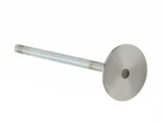 Intake Valve 13GZYC18 For 325I X5 325CI 325XI 330CI 330I 330XI 525I 530I X3 Z3 New. Price: $32.11.