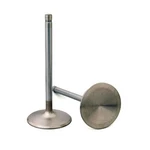 Manley Race Series Stainless Steel Valve 11879-1 New. Price: $23.58.