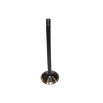Dnj EV4120 Exhaust Valve Fits 1997-2008 Ford F-150 97-02 E-250 Econoline New. Price: $31.99.
