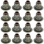 AVS13032 Apex Valve Stem Seals Set Ford Transit Connect Fiesta Fusion Focus New. Price: $31.00.