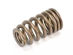 Genuine Mopar Valve Spring Right Cylinder Head 5037382BC New. Price: $22.99.