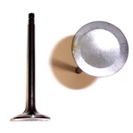 Dnj EV607 Engine Exhaust Valve For 89-97 Nissan 240SX Axxess D21 Pickup Stanza New. Price: $16.99.