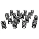 Howards Cams 98215 Electro Polished Valve Spring Set New. Price: $165.99.