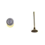 Dnj EV167 Engine Exhaust Valve New. Price: $16.99.