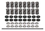 Ferrea Endurance Dual Spring Kit HONDA/ACURA1.6/1.8- KT4001 New. Price: $1077.29.