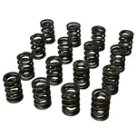 Howards Cams 98643 1.550 Dual Valve Springs New. Price: $234.99.