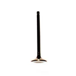 Engine Exhaust Valve-dohc, Code: EJ25D, 16 Valves Dnj EV710A New. Price: $18.94.