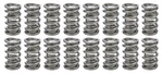 Racing Springs 1.274 Dual Valve Gm Ls (16) PAC-1237X-16 New. Price: $514.75.