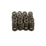 Comp Cams 26906-16 LS6 Plus Valve Springs Set For Gm Gen Iii Iv New. Price: $109.95.
