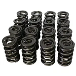 Howards Performance Dual Valve Springs 1.514 98512 New. Price: $186.95.