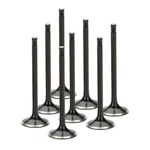 Supertech Black Nitride Std Exhaust Valves Set Of For Audi Volkswagen 1.8T Aeb New. Price: $235.99.
