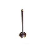 Engine Exhaust Valve-sohc, 8 Valves Dnj EV310 New. Price: $12.25.