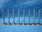 Dodge Truck 318 Exhaust Valve Set 1859515 Single Rocker 1959-1968 W500 W300 M8 New. Price: $120.00.