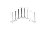 Ferrea F5027 5000 Series High Performance Intake, Valves 2.020- SBC(11/32) New. Price: $118.08.