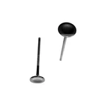 For Honda Civic 1999-2000 Dnj Engine Components EV217 Exhaust Valve New. Price: $12.77.