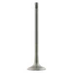 For Bmw X5 2001-2006 Febi Exhaust Valve New. Price: $31.96.