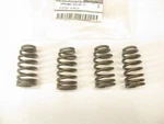 (4) New Oem 132034JM1A Exhaust Outer Valve Springs For 2012-2019 Nissan 2.5L I4. Price: $26.97.