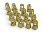 LS6 LS1 LS3 LS2 Gm Performance 90# Yellow Valve Spring 12713265 - Set Of 16 New. Price: $80.00.