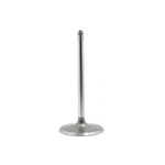 IV3215B Dnj Intake Valve For Chevy Yukon Savana Suburban Express Gmc Xl 1500 New. Price: $27.14.