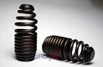 Supertech Lma Hb Spt Beehive Valve Spring Kits New. Price: $115.61.