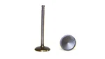 Dj Rock Engine Intake Valve For Town & Country, Caravan+more IV1135 New. Price: $17.09.