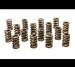 Racing Springs 1.244 Single Valve W/damper (16) PAC-1200-16 New. Price: $225.00.