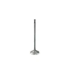 Dnj IV856 Intake Valve Fits 2009-2016 Bmw Z4 07-11 335I New. Price: $39.99.