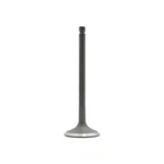 Engine Intake Valve-dohc, 24 Valves Dnj IV136 New. Price: $16.82.