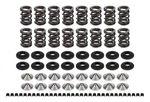 Ferrea KT4001 Endurance Dual Spring Kit Fits HONDA/ACURA1.6/1.8 New. Price: $996.99.