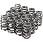Melling 46652-16 High Performance Valve Spring New. Price: $166.49.