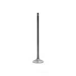 Engine Intake Valve-sohc, Code: L15A7, I-vtec, 16 Valves Dnj IV243 New. Price: $17.11.