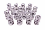 Racing Springs 1.574 Dual Valve Circle Track PAC-1396-16 New. Price: $614.00.