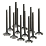 Supertech Black Nitride Exhaust Valves For Bmw M52 / M54 S52 BMEVN-1030S-12 New. Price: $322.57.