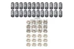 Ferrea KT4059 Valve Spring Kit For Bmw S58 (2015-2024) New. Price: $1315.95.