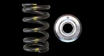 Brian Crower BC0300HD Valve Springs + Titanium Retainers Toyota 2JZ-GTE 1JZ-GTE New. Price: $449.00.
