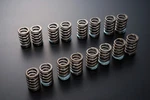 Tomei Japan Valve Spring Kit For Mitsubishi Evo 10 4B11 New. Price: $273.49.