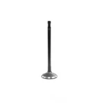 Engine Intake Valve-dohc, Code: B5254T2, Turbo, 20 Valves Dnj IV4263 New. Price: $18.17.