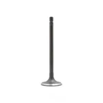 Engine Intake Valve-vin: U, Sohc, 8 Valves Dnj IV525 New. Price: $9.99.