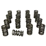 Howards Cams 98438 Dual Valve Springs New. Price: $187.99.
