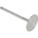 Speedway Super Duty Stainless Steel Intake Valve, 2.02 In, Std. Length New. Price: $33.99.