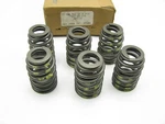 (6) New Oem Ford F6ZZ-6513-A Engine Valve Springs 2003-2006 4.2L V6. Price: $44.99.