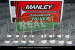 Manley Race Series Valves Acura K20A2 K20Z1 +1MM Oversize New. Price: $422.28.