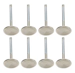 Ferrea Sbm C/6 2.020 Intake Valves 3/8 X 4.980 F6249-8 New. Price: $253.16.